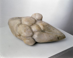 Sculpted Bone
